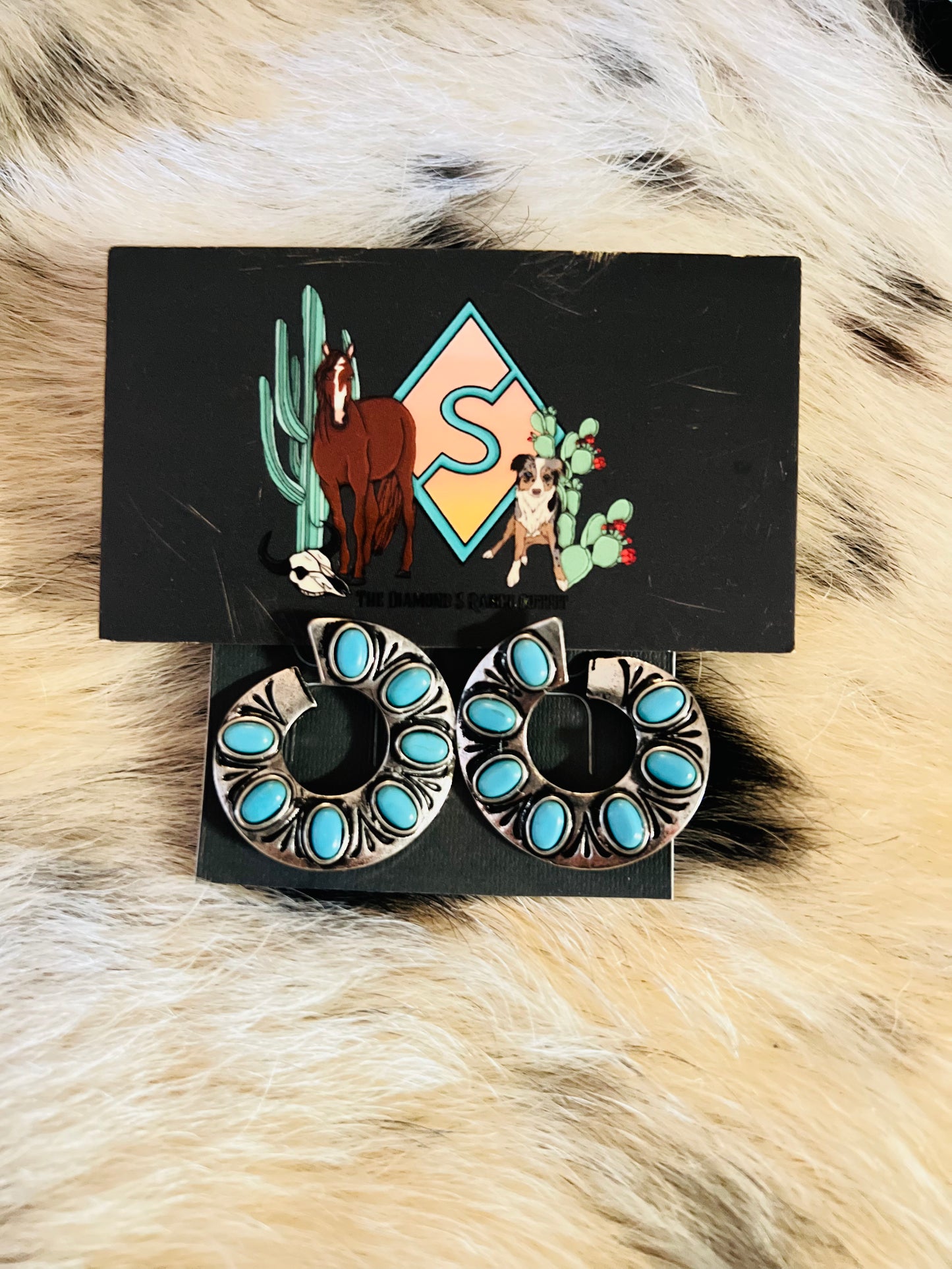 Curved Turquoise Studs